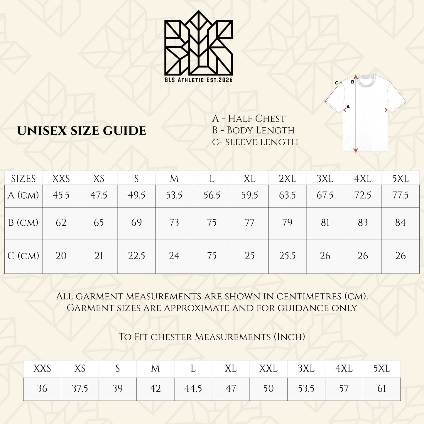Unisex T-shirt size guide with measurement chart and shirt diagram showing chest and sleeve