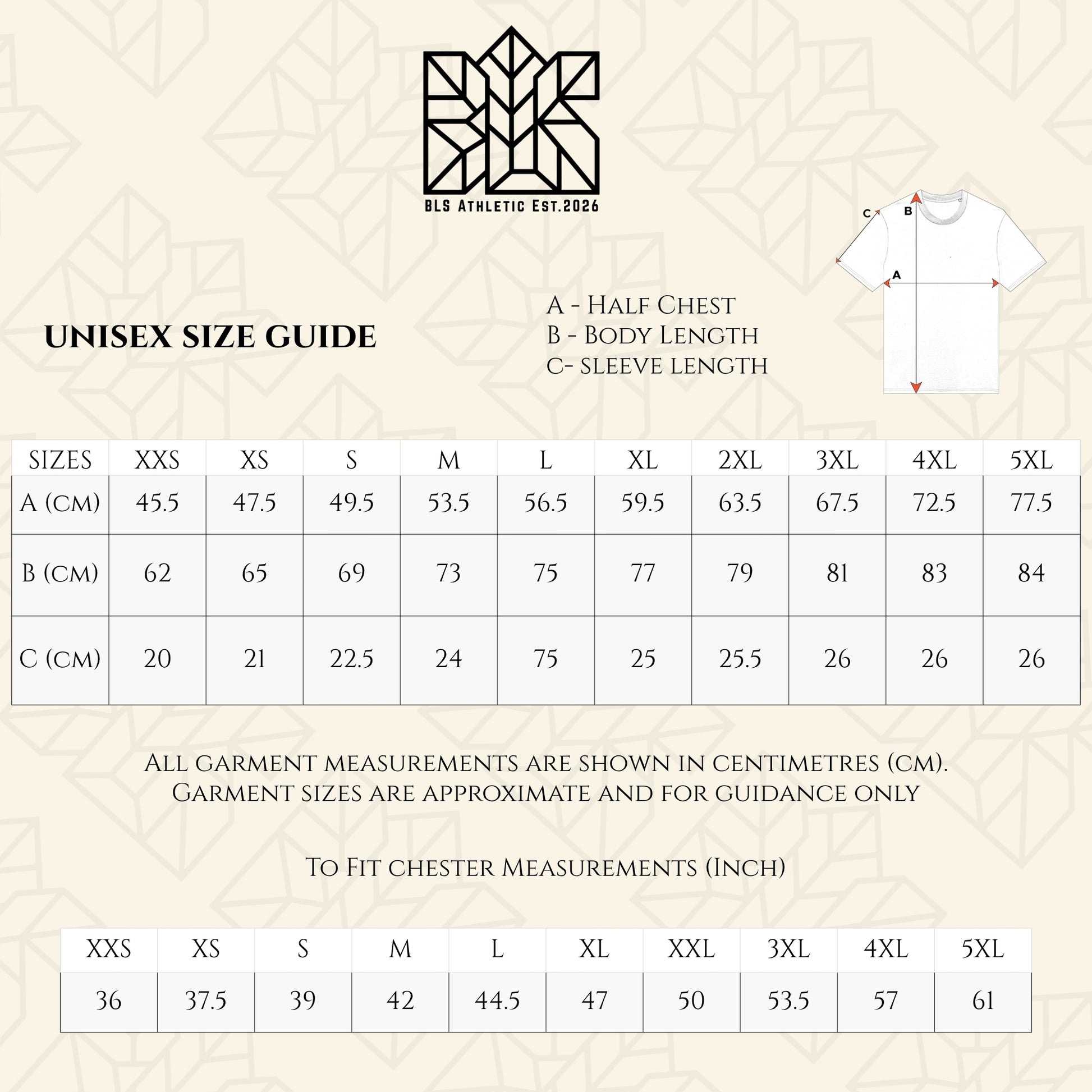 Unisex T-shirt size guide with measurement chart and shirt diagram showing chest and sleeve
