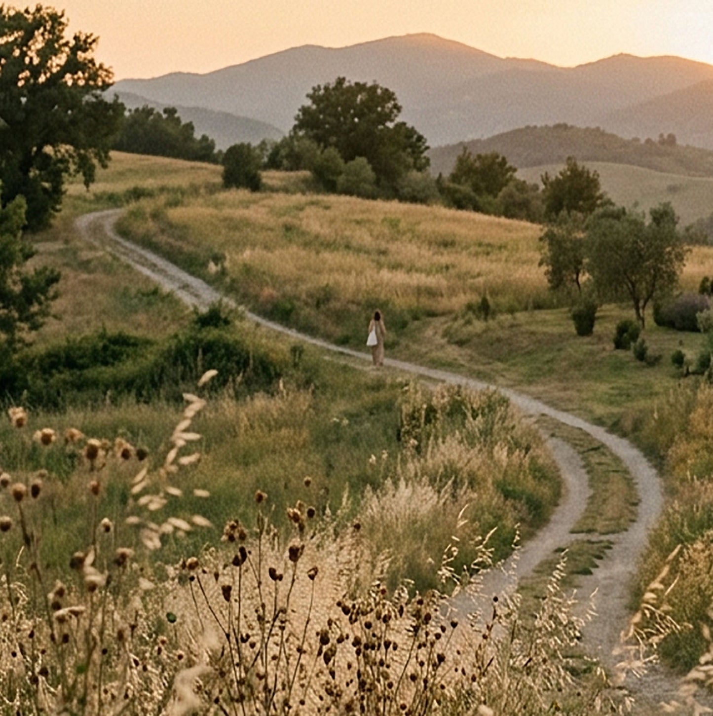 Slower Days, Gentle Paths – Countryside Sunset Print