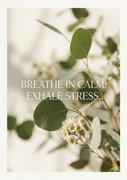 “Breathe In Calm, Exhale Stress” Eucalyptus Wellness Art Print – Mindfulness Wall Art