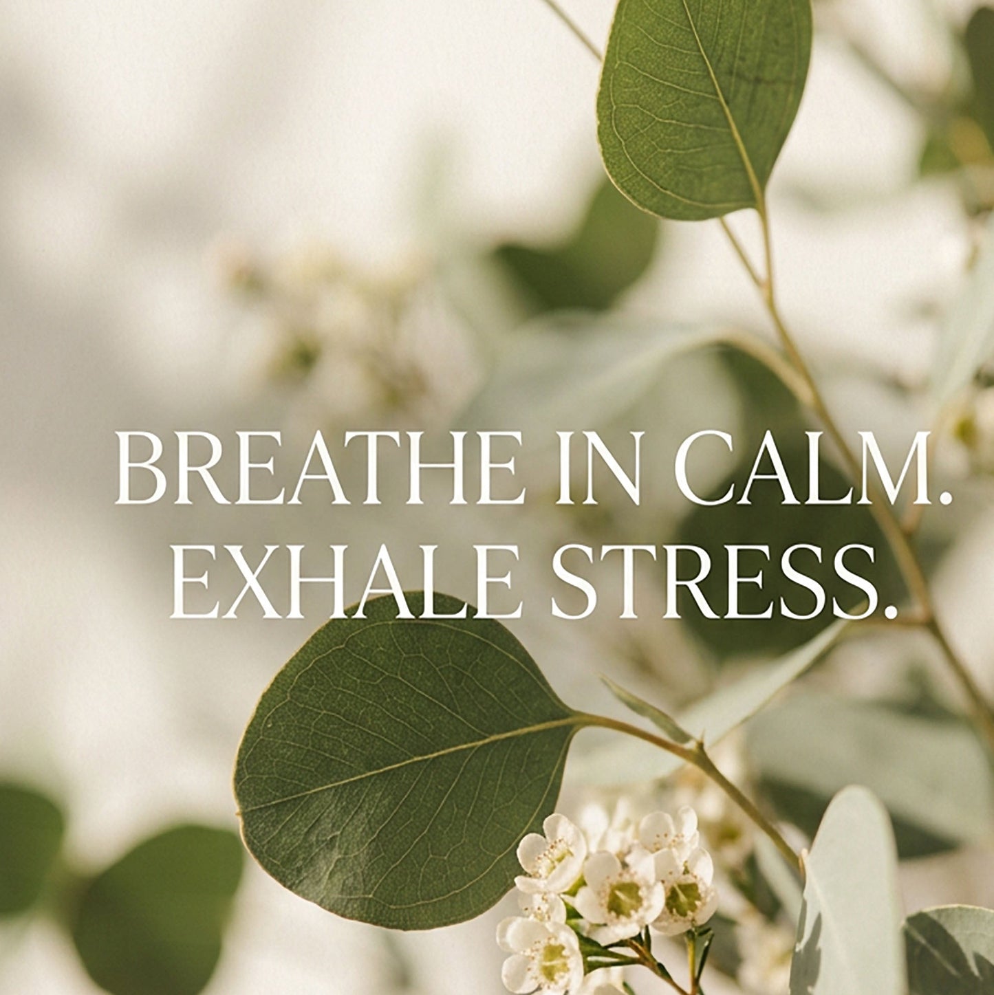 “Breathe In Calm, Exhale Stress” Eucalyptus Wellness Art Print – Mindfulness Wall Art
