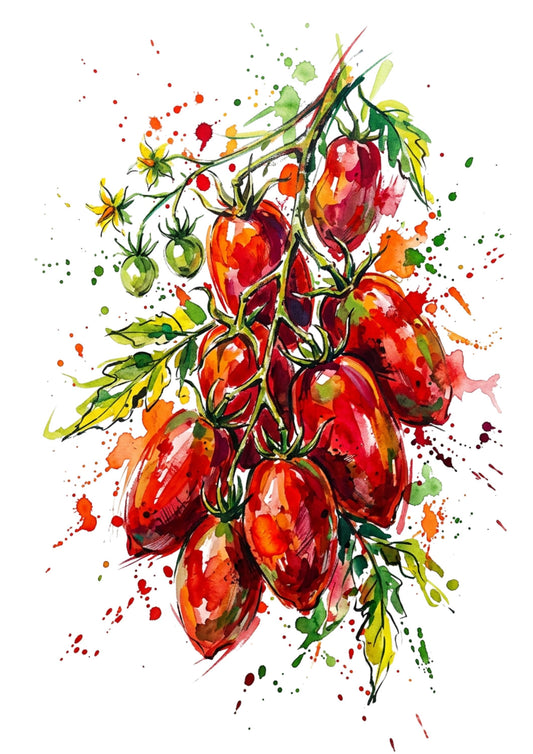 Tomatoes – Modern Coloursplash Kitchen Art Print